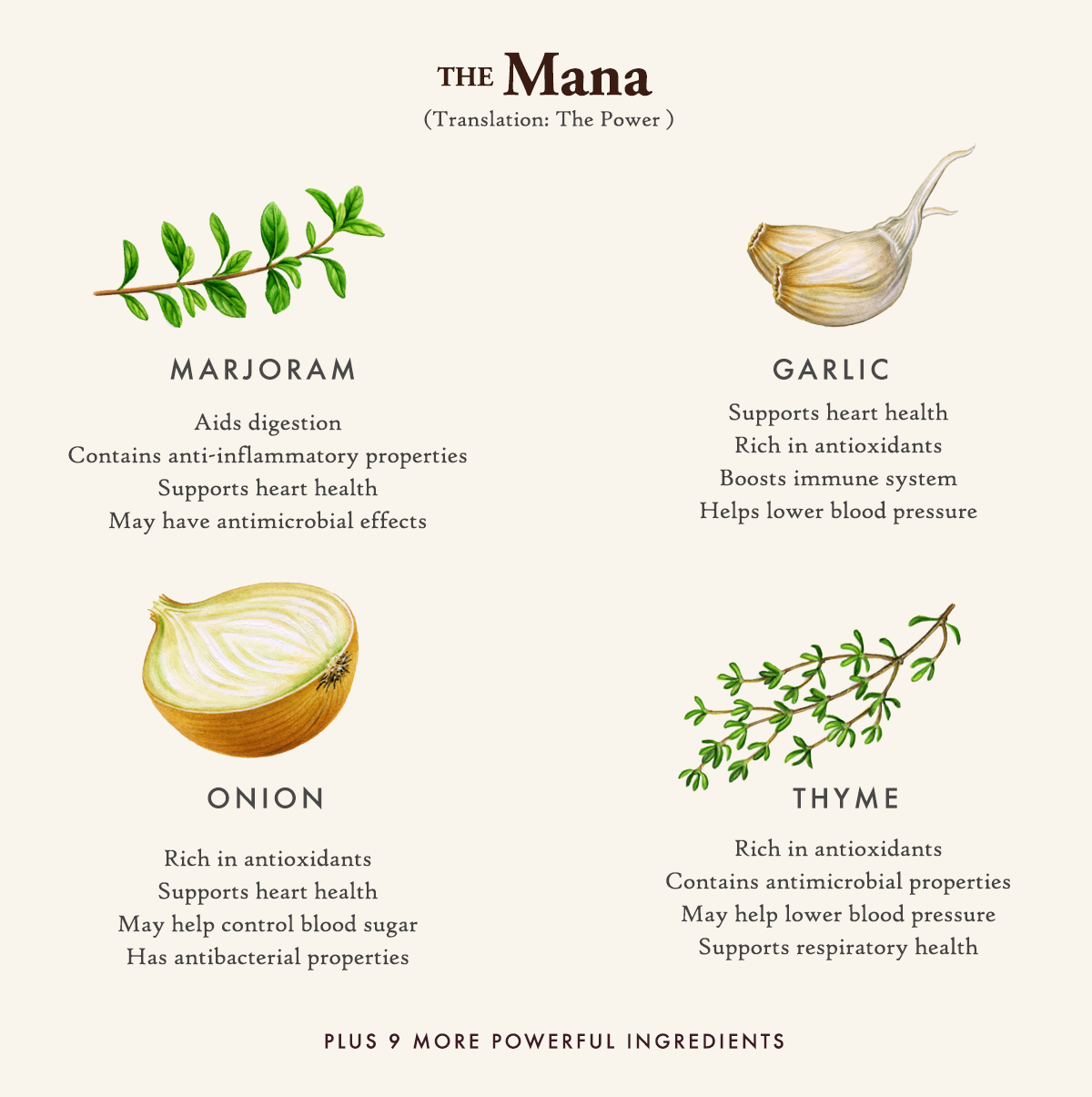 Garlic of Eden (Salt Free)